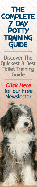 Dog Potty Training